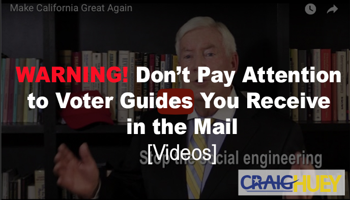 Voter guide in mail