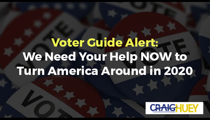 Voter guide for Election 2020