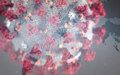 Pandemic Control: Medical Establishment, Bureaucracy, Media and Politicians Lied to You [Must See Video as Truth Comes Out]