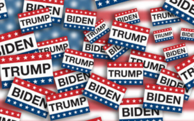 Special Report: 20 Surprising Reasons the 2020 Presidential Election Is Being Contested