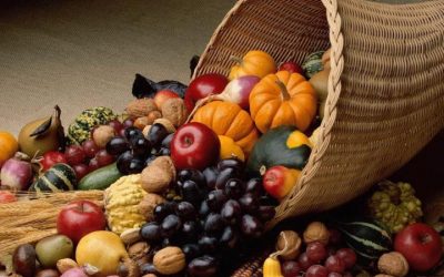 Celebrate Thanksgiving with Abraham Lincoln’s Proclamation: American Time of Death, Destruction and Fear