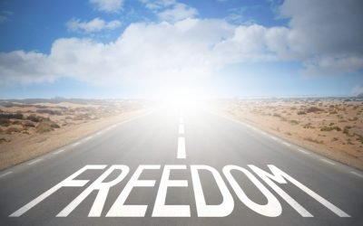 Strategic Delusion: The Slow Path to Destroying Your Freedom