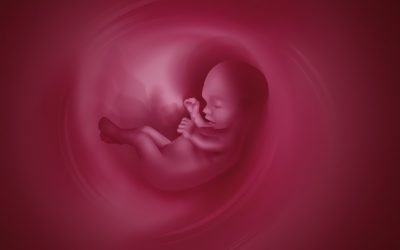 And Finally…Abortion vs. Adoption [Video]