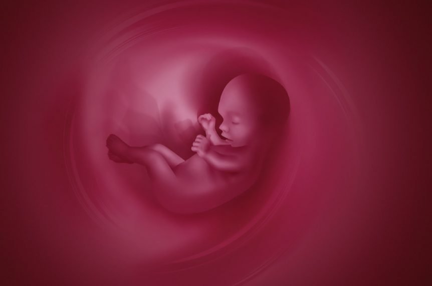 Newborn Wallpaper