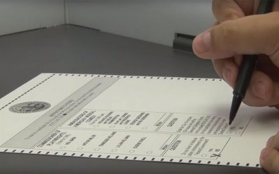 My Interview on the Lee Matthews Show: Legalizing Ballot Harvesting [Audio]