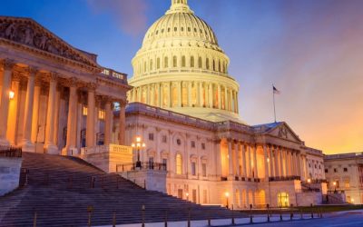 The Coercive Power of Government: How Decentralization in the U.S. Constitution is the Battleground for Freedom vs. Socialism