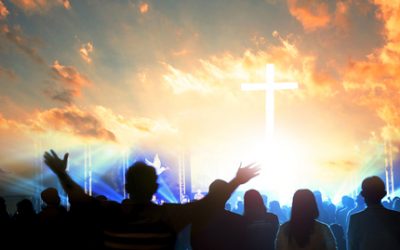 Your Pastor and Your Church Survey