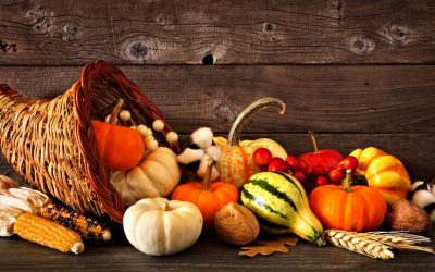 Thanksgiving: Celebrating Freedom Over Socialism