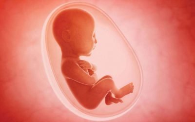Protecting Life: The Truth You Won’t See on Facebook and the Biased Media About the Supreme Court Abortion Case [Tearful, Powerful Video]