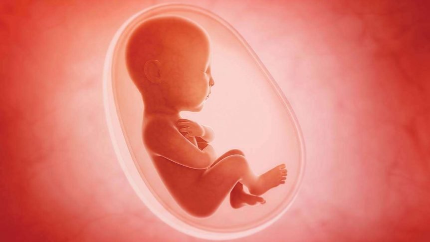 Illustration of a new-born baby