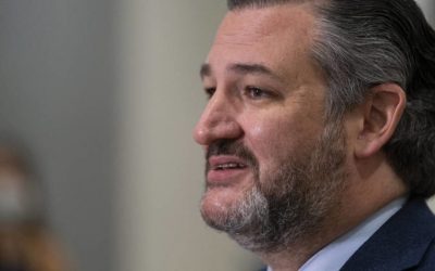 Ted Cruz: His Biggest Blunder Ever? His Epic Apology [See Video]