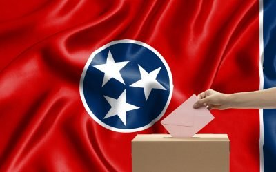 Voter Guide Alert: How to Vote For, Not Against, Your Values