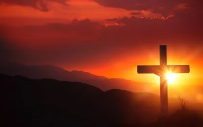 Pastors, Christians, the Church and Politics