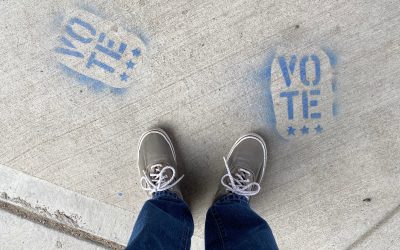 California Voter Alert: Three Things You Should Know (Including Election Forum Video on How to Vote For, Not Against, Your Values)