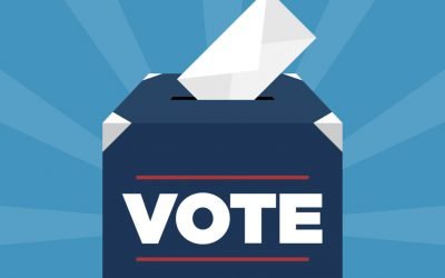 The Voter Guide Can Change November Elections: Here Is What You Should Know