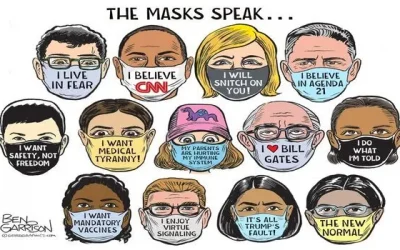 7 Revelations on How The 2020 Election Was Hijacked Under Cover of the China Virus.