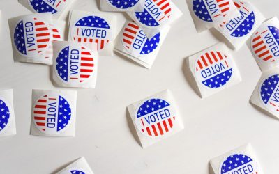 Conservative Voter Guide — Voting For, Not Against, Your Values: 3 Things You Should Know