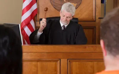 Judicial Activists: Destroying America, But Here Is The Solution [What You Need To Know That Drives The Radicals Nuts]