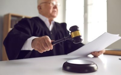Radical Judges: The #1 Way You Can Help Stop Their Destruction and Protect Our Rights and Freedoms