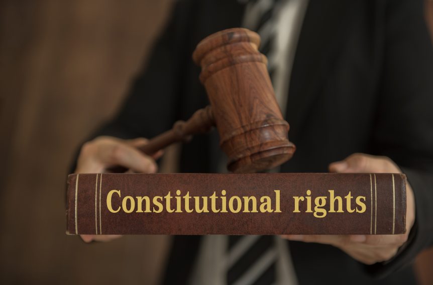 Constitutional Rights book