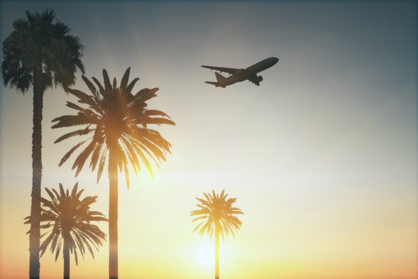 flying plane above palms