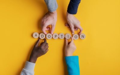 Adoption is Awesome [VIDEO]