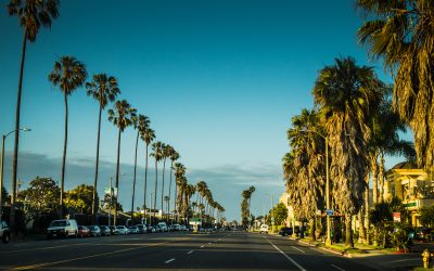 California Greatness Diminished by Dangerous Socialist Policies