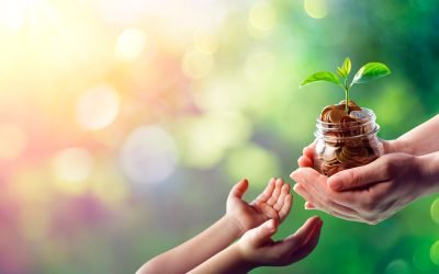 A Generation Who Gets Inheritance, Destructive or Helpful?