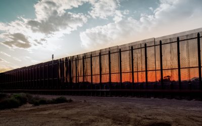 Elon Musk: Bravely Attacks Out of Control Border Invasion– 3 Things You Should Know…