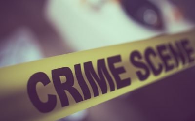 Biden Says Crime is Going Down. No Worries, Democrat Policies are working. Who believes this? Here Are 6 Things You Need to Know About How Deceitful Biden Is…