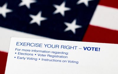 Stop Voter Fraud: Amplify Your Voice
