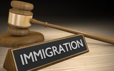 Biden Funnels Millions to Nonprofits—They Are Fueling Mass Illegal Migration, Voter Registration and Massive Legal Help [The Big Lie: The U.S. Doesn’t Pay for Free Flights]